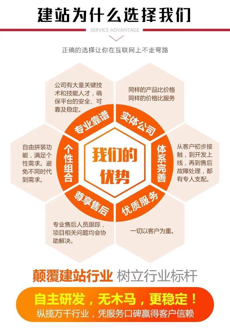企业官网定制：选择专业还是自行开发
